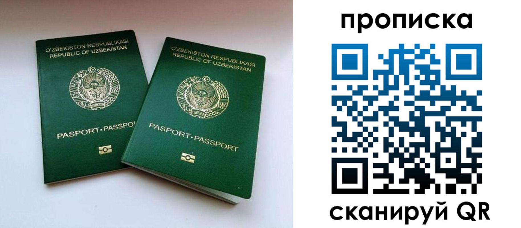 прописка поиск в Новоалтайске